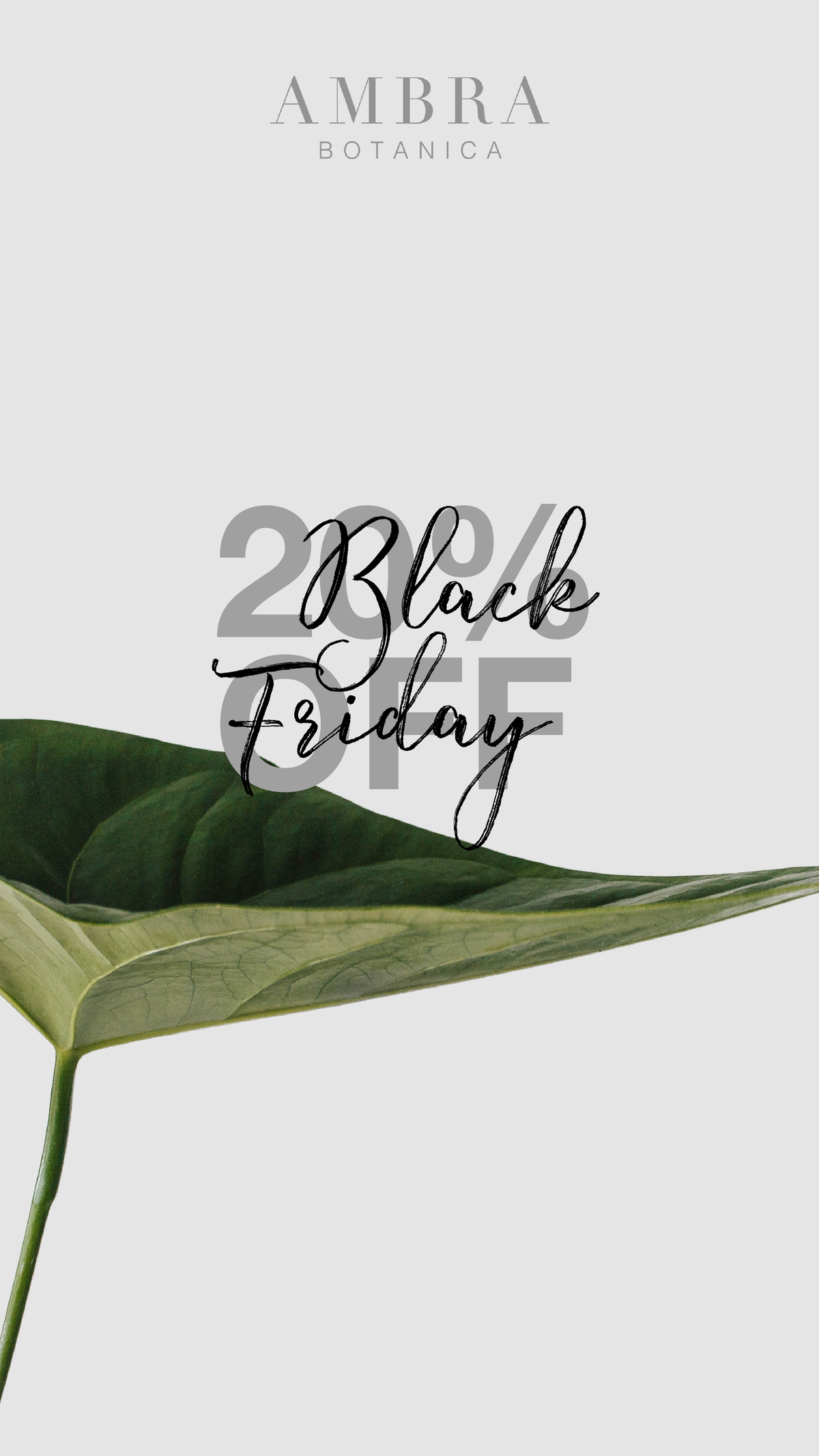 Black Friday