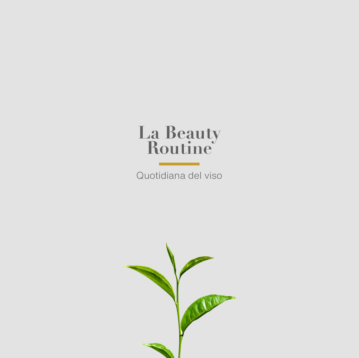 Beauty Routine Viso