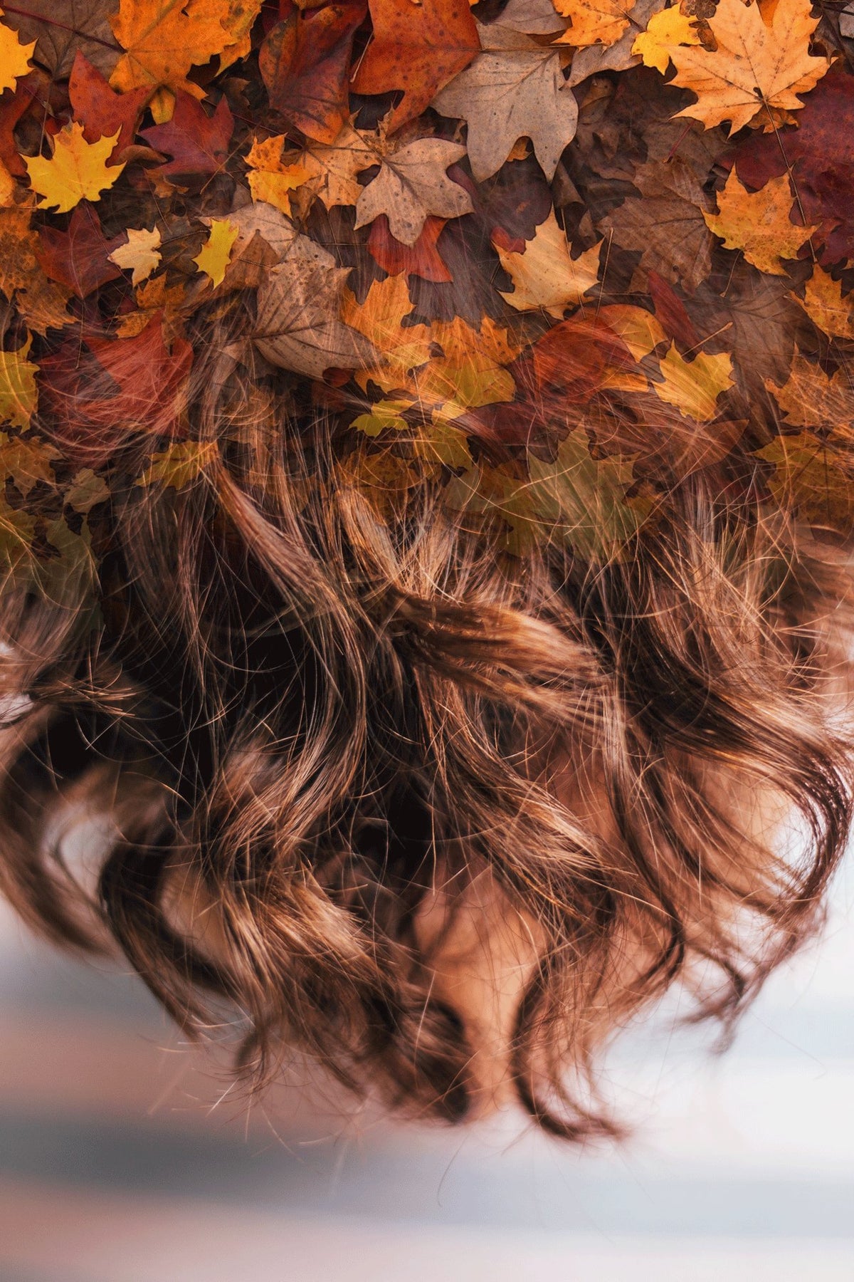 TRATTAMENTI ANTICADUTA 🍂